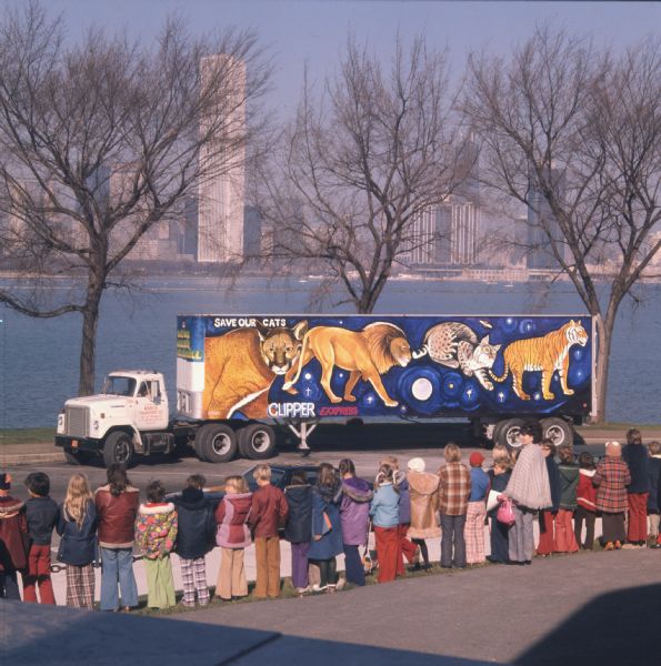 View of a group of children in jackets and an adult looking at a mural of endangered big cat species painted on a trailer. The painting was part of one of several murals showing endangered land animals commissioned by Clipper Exxpress founder Jerry G. Chambers. The murals were created under the direction of Ricardo Alonzo, muralist and director of Chicago's West Town Community Youth Art Center, and his assistant Jose Gonzalez. The animals depicted are possily a lion, tiger, lynx, and puma. The photograph was taken along the Chicago lakefront, and the lake and several Chicago buildings can be seen in the background. Attached to the front of the trailer is a white International Harvester F-2010A truck. The door of the truck reads, "Operated by March Tranport Co., 3401 W. Pershing Rd., Chicago Ill."