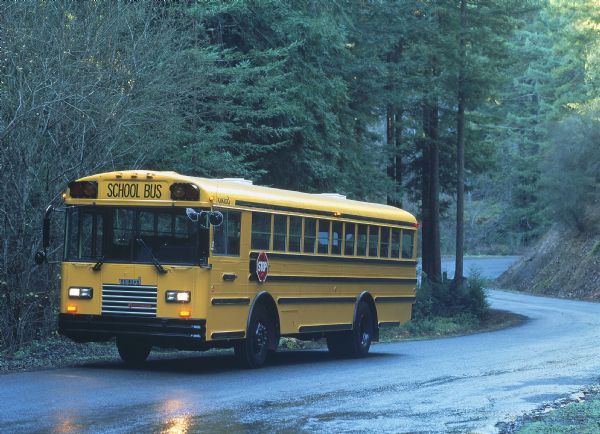 Color photo of an International school bus driving on a road through a heavily wooded area on a rainy day. The driver is obscured by the rear view mirrors on the front of the bus. The photograph was probably taken for advertisement materials.