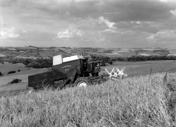 This photograph was likely taken by the International Harvester Overseas Division for promotional purposes, and shows a man driving an International Harvester 8-71 Combine in a wheat field. The man is wearing a a jacket and hat. The combine model is on the front of the combine and has the "McCormick," "International" and "IH" insignia. Behind the man are rolling hills dotted with cows and buildings. The photograph was taken in New Zealand.