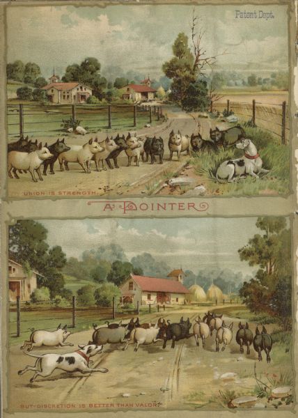 Back cover of catalog featuring two illustrations with the title: "A Pointer." The top illustration, captioned: "Union is Strength," shows a dog lying in the grass at a fence row, while a large group of swine is standing in the road staring. The bottom illustration, captioned: "But Discretion is better than Valor," shows the dog running after the swine who are running back down the road towards a farm.