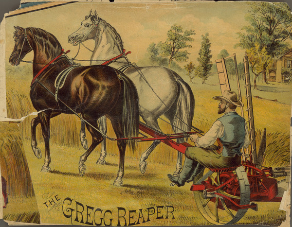Colored illustration of a man in a hat and boots driving the Gregg Reaper in a field, pulled by two horses.