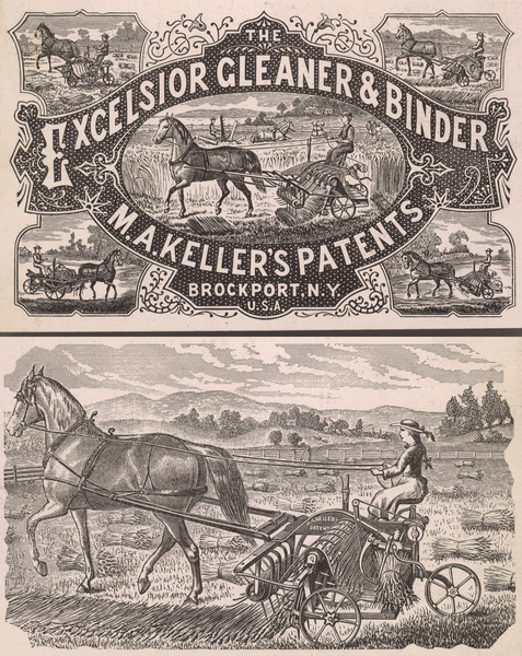 Front and back of advertising cards for the Excelsior Gleaner and Binder. Front features illustrations of a man using the machinery in a field. The back features an illustration of a woman using the horse-drawn machinery in a field.