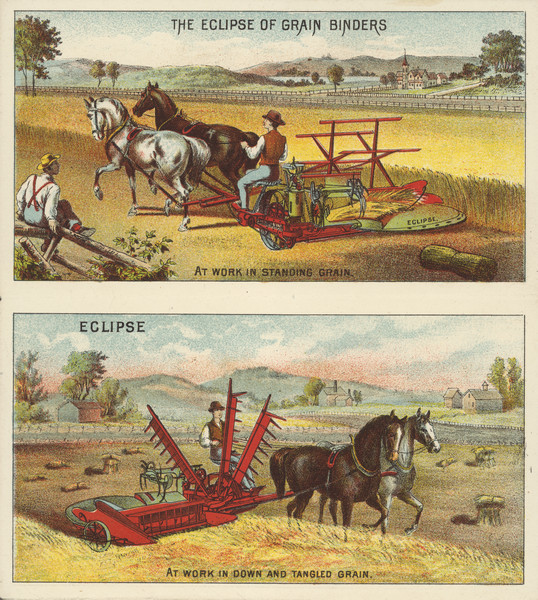 Inside panels from advertising brochure with two color illustrations of harvesting scenes. Both show a man driving a team of two horses pulling a grain binder.