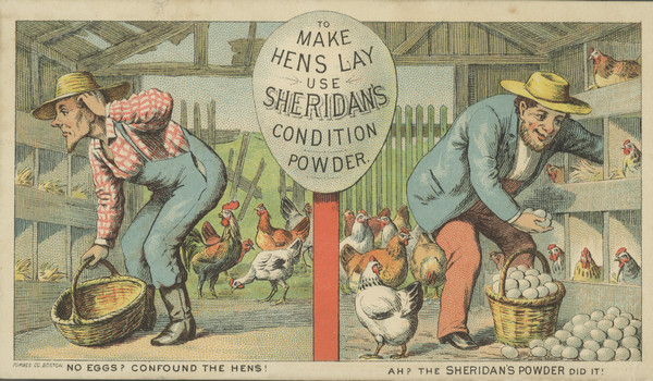 Advertising card with the heading: "To make hens lay, use Sheridan's condition powder." Features a color illustration of a man in a hen house on the left holding an empty basket and scratching his head, with the caption: "No eggs? Confound the hens!" The man on the right has a full basket of eggs, with the caption: "Ah? The Sheridan's Powder did it!"
