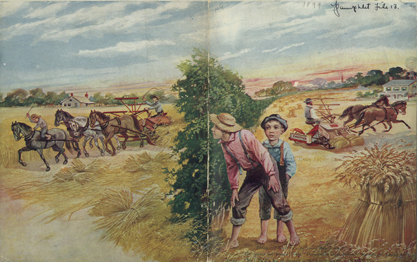 Catalog for Champion binders, reapers and mowers. Features a color illustration across front and back covers. In the center are two boys standing and peering over a tree-lined fence row towards another boy working in a field with his father on the left. The caption on the bottom of the front cover reads: "'<i>Johnnie:</i> "What d'y'e see 'round there Jimmy?' <i>Jimmy:</i> 'Oh, nuthin but Tinkey Tubbs. He promised to go swimmin' but he's still helping his Dad.' <i>Johnnie:</i> 'My! He'd a bin all through if they'd only bought a CHAMPION.'"