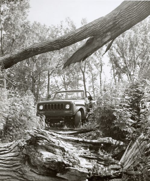 View from behind a tree limb toward a doorless International Scout SSII driving through difficult terrain.