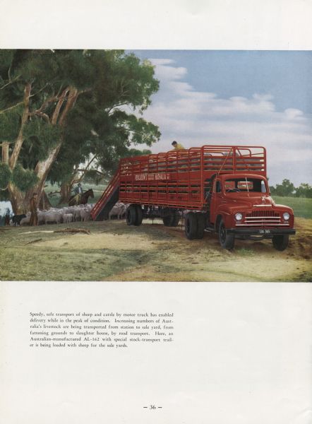 A Model AL-162 cattle truck being loaded with sheep. Three men are seen. One in the back of the truck, another on horseback, and the third standing at the rear of the herd of sheep. Original caption reads, "Speedy, safe transport of sheep and cattle by motor truck has enabled delivery while in the peak of condition. Increasing numbers of Australia's livestock are being transported from station to sale yard, from fattening grounds to slaughter house, by road transport. Here, an Australian-manufactured AL-162 with special stock-transport trailer is being loaded with sheep for sale."