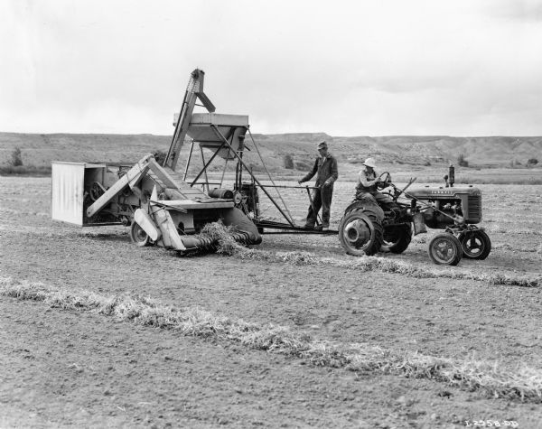 Original caption reads: "Photographs I-2958-DD to I-2962-DD, inclusive. Fourth of Wyoming and Montana Basin combine series. See first for general description. These pictures show No.61 combine operated by Farmall-A in 16-acre field of Great Northern beans on 110-acre farm of Ralph Lyda, Route 1, Powell, Wyoming. The outfit is owned by T.A. Wilder, a neighbor, also of Route 1, Powell, Wyoming.  Mr. Wilder operates a 200-acre farm and had 80 acres in beans, 12 acres in beets, 25 acres in alfalfa, 7 acres in corn and 21 acres in barley (nurse crop, 53 bushels to the acre). Mr. Wilder owns two No.61's, one purchased September 1, 1940, and the other which is operated by Caterpillar he bought last year. Mr. Wilder does a lot of custom work. He harvester about 500 acres of beans with the two outfits. He charges $3 an acre and covers some 16 acres a day with each outfit.  There is a straw buncher on each combine, the bean straw being used for feed and bedding.  After the bean crop Mr. Wilder grows radishes and said he makes $10 per acre therefrom. From his bean crop, he said, he got from 1500 to 2500 pounds an acre. Mr. Lyda said the field shown was producing 1800 pounds to the acre. Mr. Lyda had 45 acres in beans, 10 acres of which were pintos.  he also had 25 acres in sweet clover from which he harvested a seed crop, 11 acres in beets and 10 acres in grain.  In photograph I-2934-DD are shown left to right Mr. Lyda, Mr. Wilder's combine operator; John Carlson Jr., Bridgeport, Nebraska; Mr. Wilder and M.W. Jones, sales promotion, Billings branch. Paul L. Hanson, Route 1, Powell, Wyoming, is also shown at tractor wheel in several of the pictures."