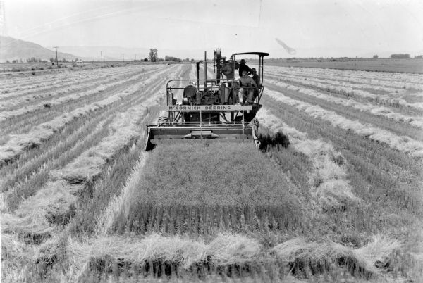 McCormick-Deering self propelled 17w combine harvesting flax.