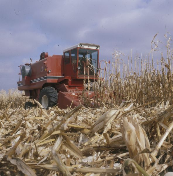 Man driving a 1440 combine with a 4 row corn head in a field. Photo was taken low to the ground looking up and positioned to the front and left of the combine. 