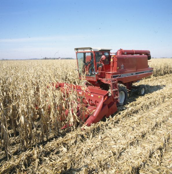 Three-quarter view from left front of a man using a 1420 combine with a 963 corn header in a cornfield.