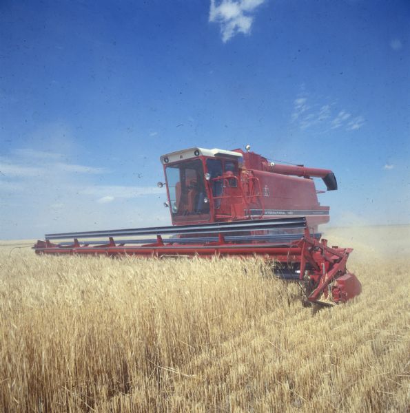 Three-quarter view from front left of a man operating a 1480 combine in a wheat field.