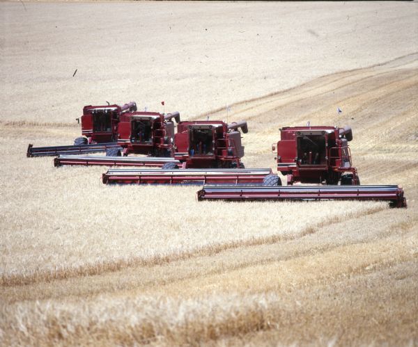 Elevated view of four 1480 combines in wheat field.
