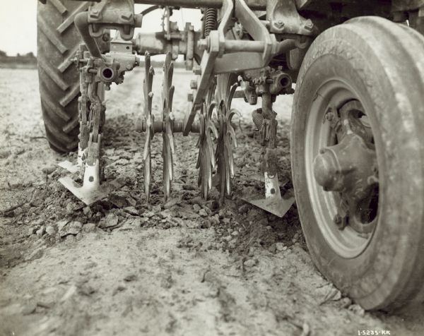 Close-up of a Farmall M with HM-236 cultivator and rotary hoe attachment cultivating cotton at the Edisto Experimental Station, Clemson College.