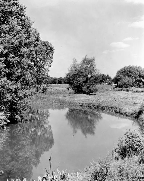 Stream which runs through Hinsdale Farm. Buildings are obscured among trees in the far background.