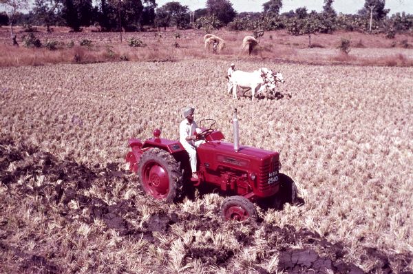 Elevated view of a man using a MRA 2940 International tractor in a field in India. Behind him in the field a man is walking with oxen. On the edge of the field in the far background are people carrying stalks on their heads.
