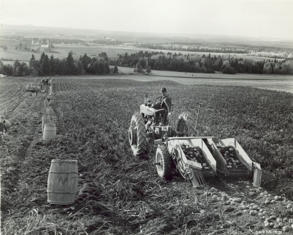 View from rear of Elmer Tompkin driving a Farmall M tractor down a hilly field. The tractor is pulling a No. 12 two-row digger on Elmer Merrill's 400-acre farm. There are barrels set up to collect the potato harvest. There is a valley at the bottom of the hill. Aroostook County.