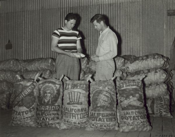 Mr. S.M. Hart, (left), supervisor of the C. and C. potato shed is proudly displaying samples of their prize potatoes now being bagged for shipment to Don Fleming (right), Federal and State Inspector of Quality and Condition. There are five sacks of potatoes in front of them, and they read, left to right: "Two Hearts," "Warrior," "All American," "Clipper," and "Defender."