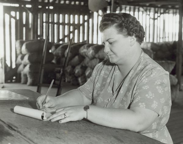 Mrs. J.L. Hill checking and keeping records of car numbers and sacks of Lerdoo Long White potato crop as it reaches the potato shed from the field.