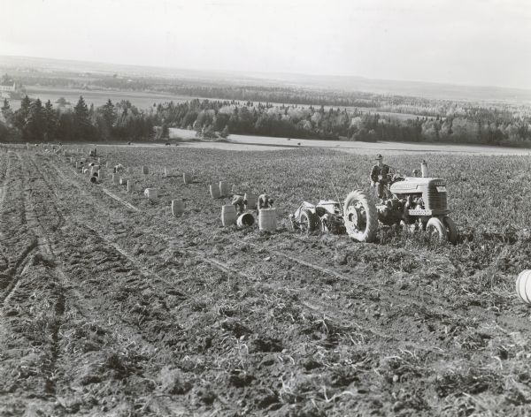Three-quarter view from front right of Elmer Tompkin driving a Farmall M tractor down a hilly field. The tractor is pulling a No. 12 two-row digger on Elmer Merrill's 400-acre farm. There are barrels set up to collect the potato harvest. There is a valley at the bottom of the hill. Aroostook County.