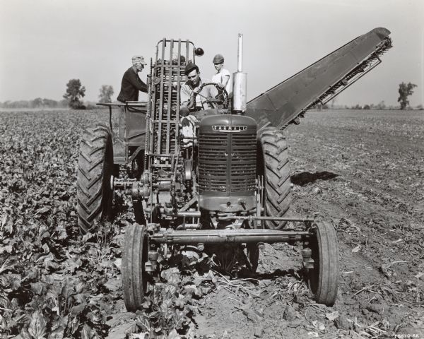 View from front of Wayne Harrington driving a Farmall M to pull an HM-1 1947 model International Harvester sugar beet harvester in a field. Two men are standing on the harvester behind him. 