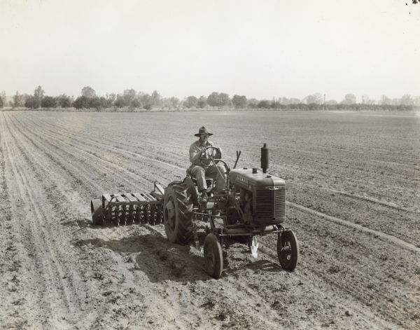 Three-quarter view from front right of a man driving a Farmall A tractor and rotary hoe working in a field of strawberry plants at the Stohlen nursery farm.