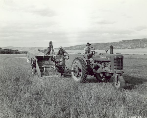 Three-quarter view from front right of two men, Grant Porter and L.M. Porter working in a field harvesting seed from 60 of 200 acres in alfalfa. 3200 acre ranch in southern Montana operated by Porter brothers.