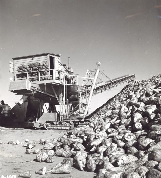 A man stands on a platform near a beet stacker. International trucks wait in the background to deposit their loads.