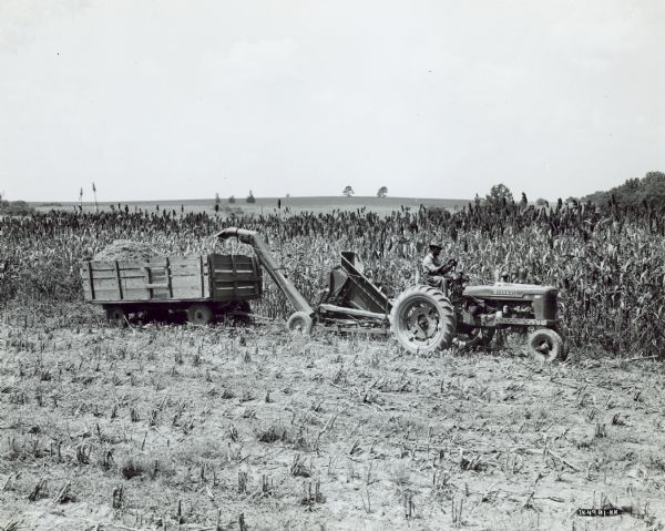 View across harvested field towards a man driving a Farmall H tractor in a field of sorghum. The tractor is pulling a No. 2 ensilage harvester and tractor-trailer and box. L.W. Cobb farm.