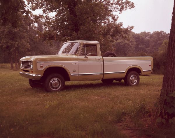 Driver's side view of a 100 Pickup truck parked in the grass under trees. There is a spare tire mounted on the inside of the open truck bed.