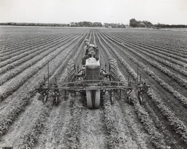 Front view of a man, Edwin Meyer, driving a Farmall M tractor in a field of soybeans. 440-acre farm owned by John Meyer.