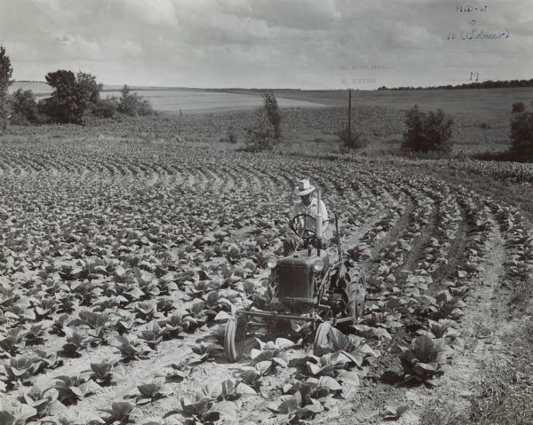 View from front of a man using a Farmall Cub and 144 cultivator in a tobacco field of Tollie E. Simonson of Readstown, Rte. 1, Wisconsin.