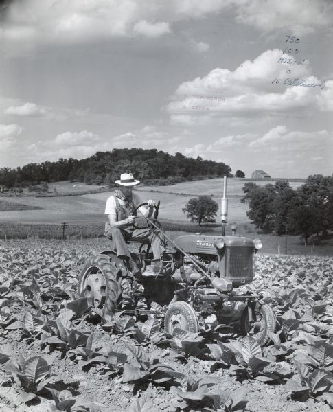 Three-quarter view from front right of Jules Rudie, IH dealer at Westby, Wisconsin operating a Farmall Cub in six acres of tobacco, which previous to this year has been worked with horses. Fields and wooded hills are in the far background.
