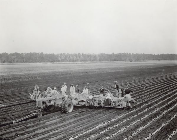 Elevated view of a group of people working in a field. A Farmall B tractor is pulling a 12-row power celery planter on the Orange Lake Muck Farms. Approximately 12 people are sitting on the planter, with their backs to the tractor, and another group of people are standing behind them.