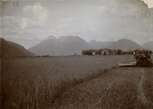 View across partially harvester field towards a man using a horse-drawn Deering Binder. Farm buildings among trees are along the far edge of the field, and in the far distance are snow-capped mountains.