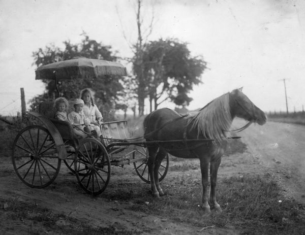 View of three children sitting in a horse-drawn carriage on a road.