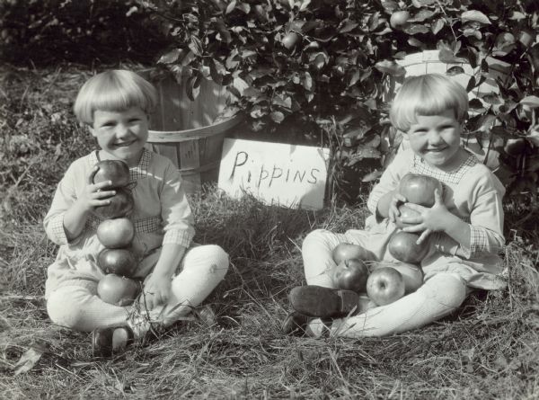 Two of Mr. Robertson's children, perhaps twins, are posing sitting outdoors holding stacks of apples in their lap. Behind them are apple trees and a sign that reads: "Pippins." 