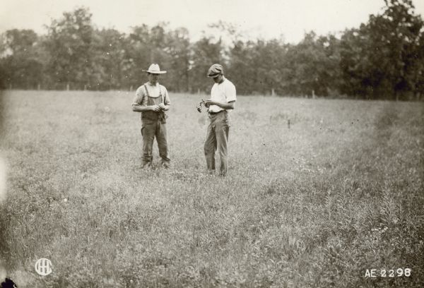 Two men standing in an alfalfa field. Trees are in the background.