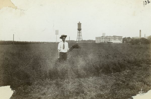View of a man standing in a field holding a sheaf of grain. In the background is a water tower near a building and a smokestack.