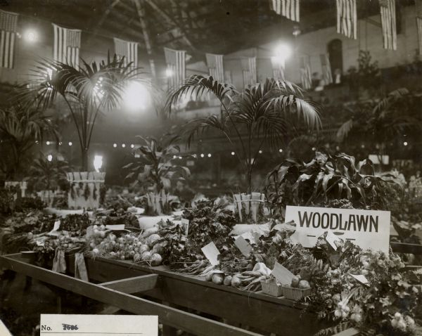 View of the vegetables produced by the Woodland School displayed on a table in a large hall. Flags are hanging from the ceiling, and ferns in pots are behind the displays.
