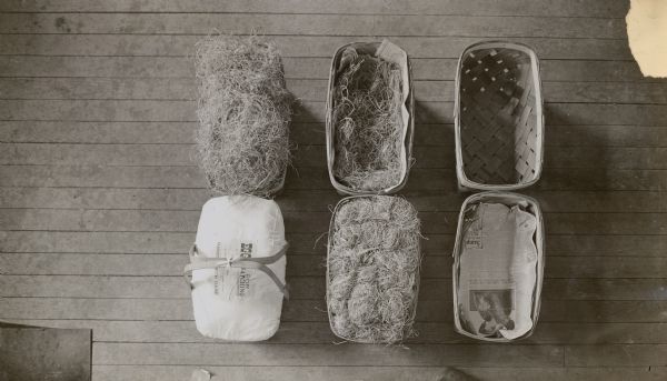 Overhead view of six baskets, showing how eggs intended for hatching would be packed in layers of excelsior. A cloth would be sewed on top of the basket.