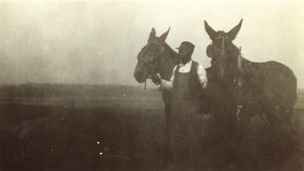 Mose holding the reins of two mules standing outdoors at Montgomery, Alabama farm.