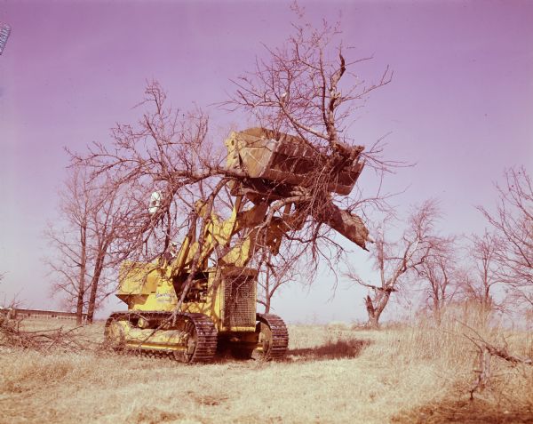 Man operating a TD-25 to move a tree. The sign painted on the side reads: "Riemer Bros. Inc. Schiller Park, ILL." There is a building in the background on the left.