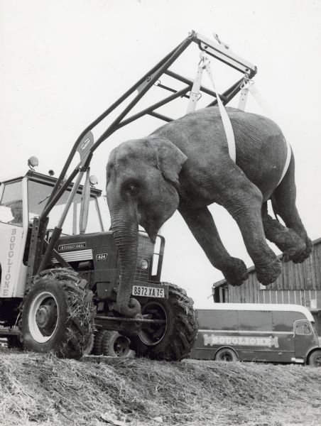 Page describing in German the International 624 tractor, lifting an elephant. The tractor is owned by the Bouglione Circus.