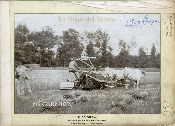 Front cover of catalog of McCormick Line of Haying & Harvesting Machines for Argentina. Features a photograph of a man on an oxen-drawn binder in a field with a team of oxen. Two men are standing and watching on the far left.
