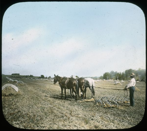 Three-quarter view from left rear of a man walking behind a horse-drawn spring-tooth harrow in a field. Piles of harvested grain are lined up in the field. Power poles and a fence are along a road in the background. Hand-tinted lantern slide.