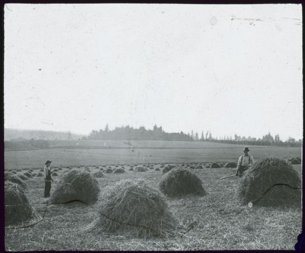 View towards two men standing and holding pitchforks in a field with haystacks around them. Lantern slide. 