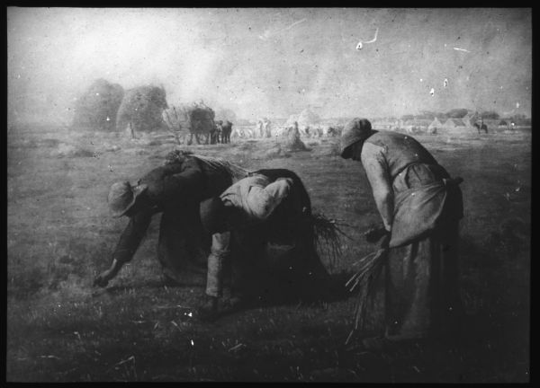 Women are bending over in a field, harvesting by hand. In the background people are working near large haystacks and a horse-drawn wagon. Lantern slide.