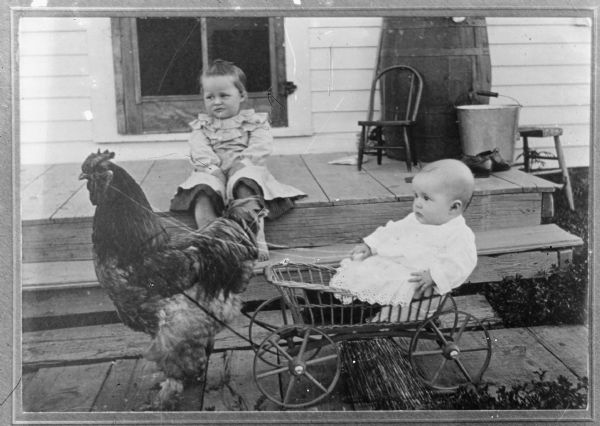 A baby is sitting in a cart pulled by a chicken (rooster). Another child is sitting on porch steps of a house behind the baby. Lantern slide.