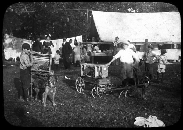 Two boys are each standing near a dog pulling a wagon. On the wagons are boxes with caged birds inside. In the background, a group of people are standing near a tent and a table. Lantern slide.